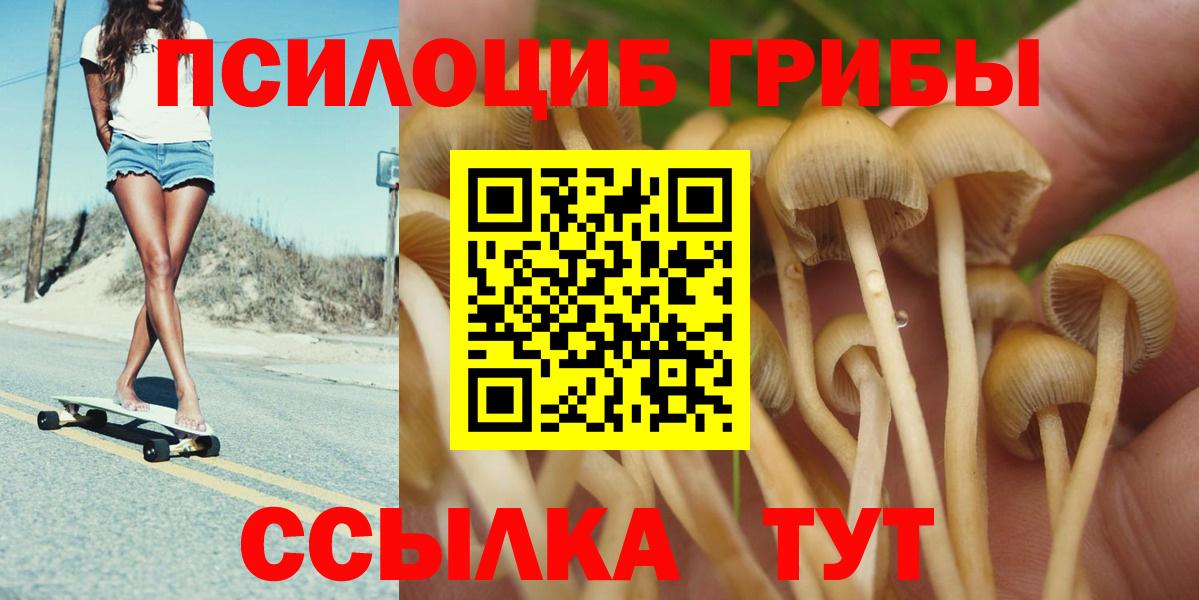 Псилоцибиновые грибы Magic Shrooms Ипатово