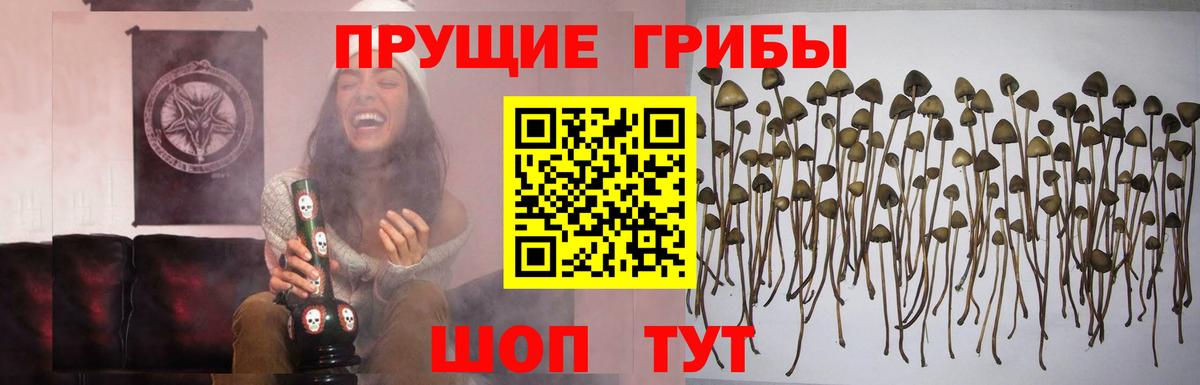 Галлюциногенные грибы MAGIC MUSHROOMS  Вход с VPN  Ипатово 